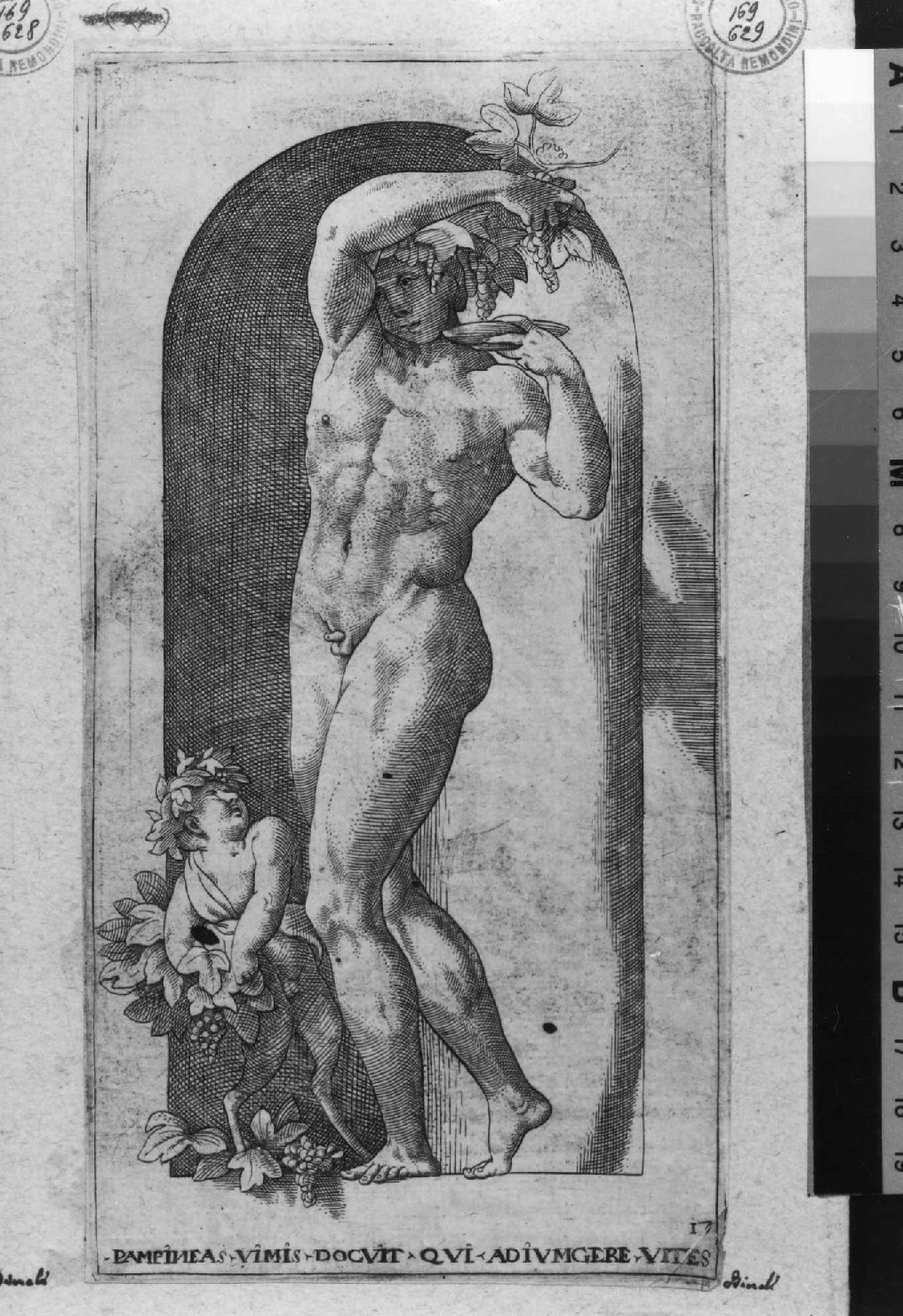 Bacco (stampa smarginata, serie) di Rosso Fiorentino, Binck Jacob (sec. XVI)