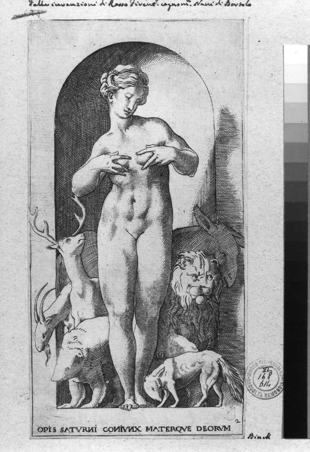 Opi (stampa smarginata, serie) di Rosso Fiorentino, Binck Jacob (sec. XVI)