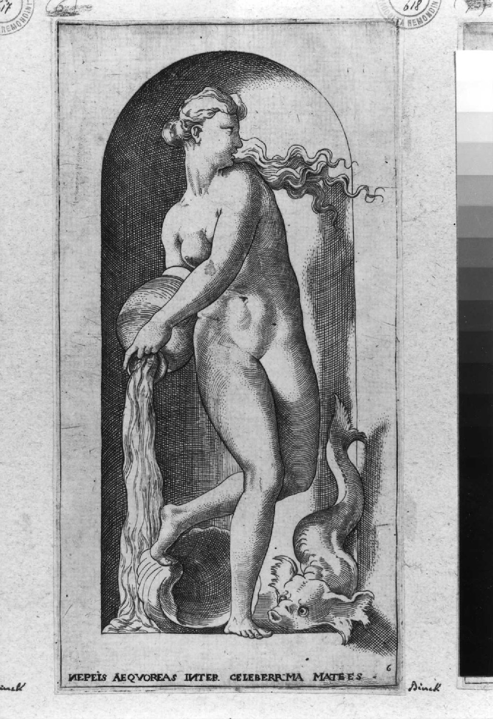 Teti (stampa smarginata, serie) di Rosso Fiorentino, Binck Jacob (sec. XVI)