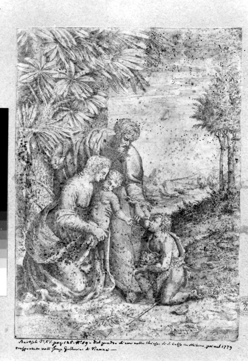 Sacra Famiglia con San Giovannino (stampa smarginata) di Bonasone Giulio, Sanzio Raffaello (sec. XVI)