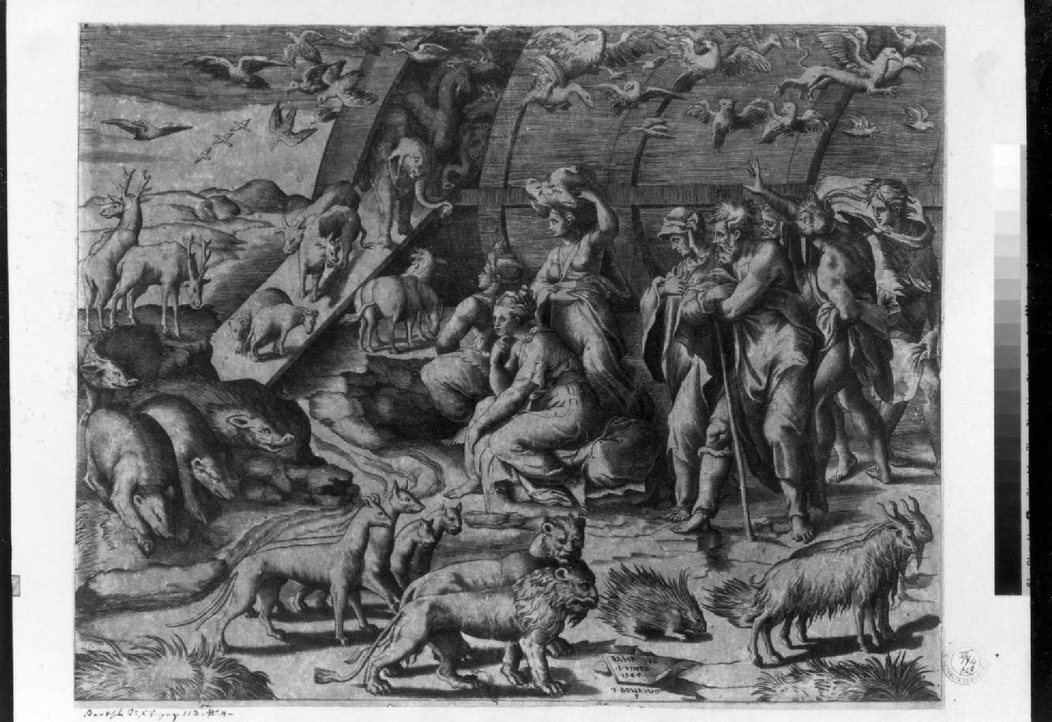 uscita di Noè della sua famiglia e degli animali dall'arca (stampa smarginata) di Sanzio Raffaello, Bonasone Giulio (sec. XVI)