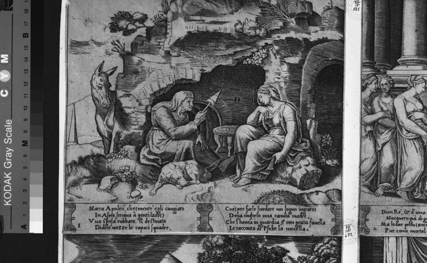 storie di Cupido e Psiche (stampa smarginata) di Maestro della B nel Dado, Coxie Michiel I (sec. XVI)
