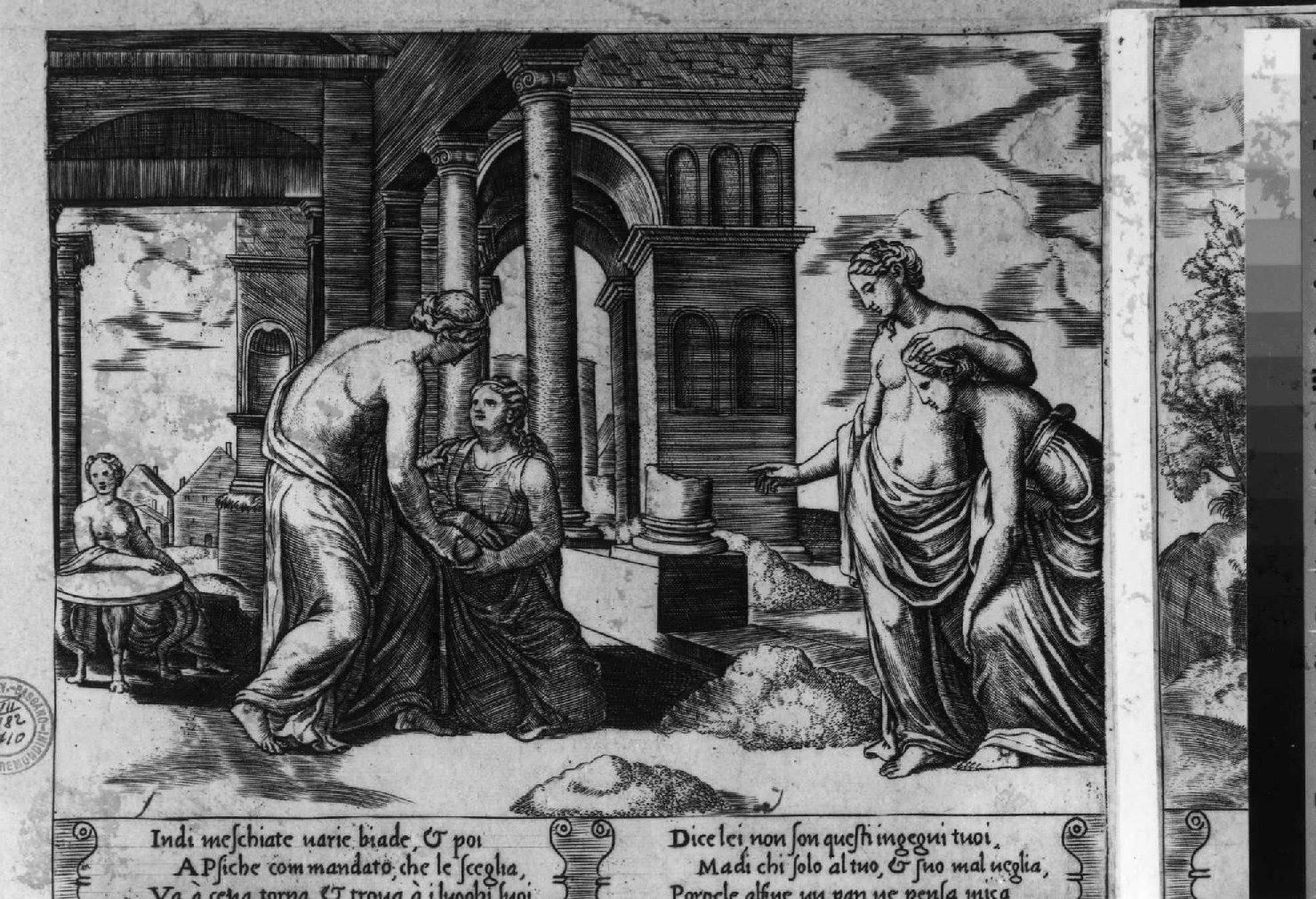Venere ordina a Psiche di selezionare i diversi semi (stampa smarginata) di Maestro della B nel Dado, Coxie Michiel I (sec. XVI)