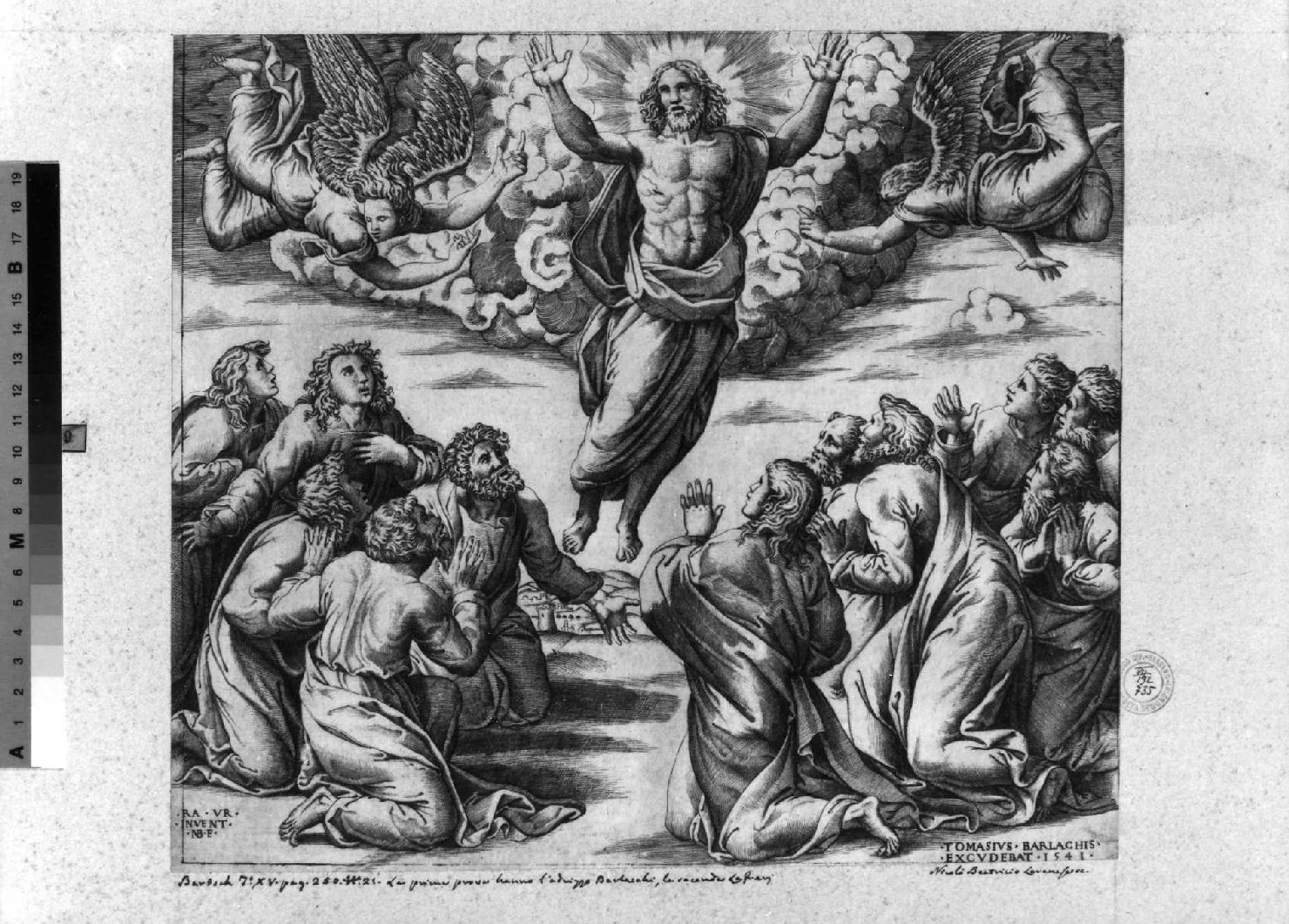 ascensione di Cristo (stampa smarginata) di Sanzio Raffaello, Beatrizet Nicolas (sec. XVI)