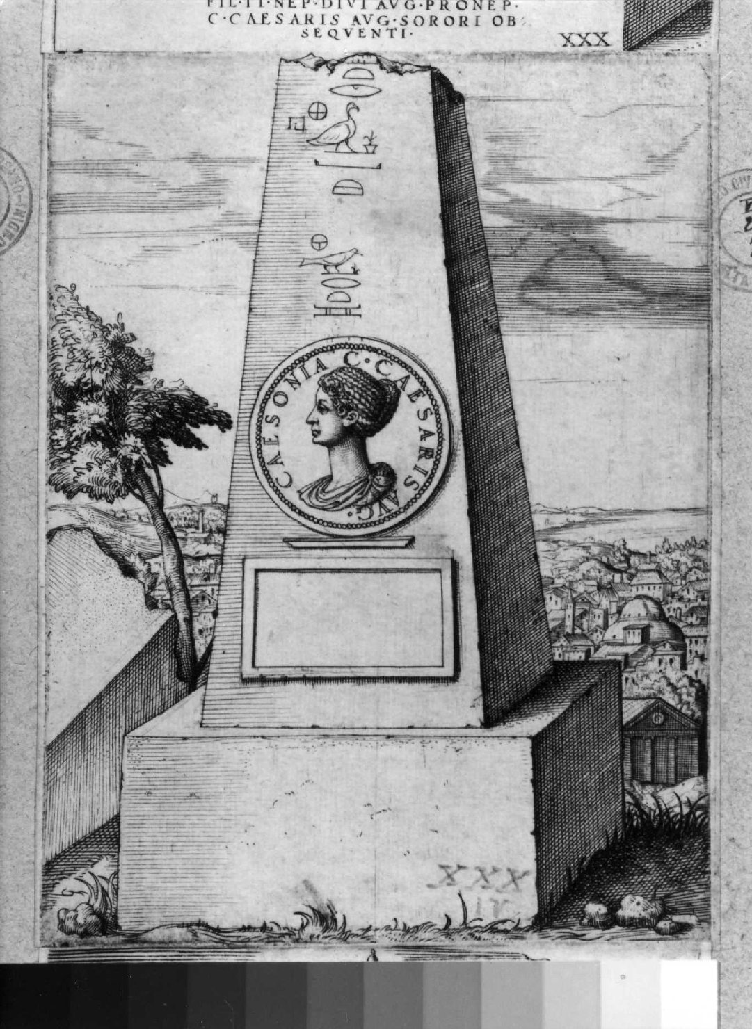medaglia con ritratto di Caesonia (stampa smarginata) di Vico Enea (sec. XVI)