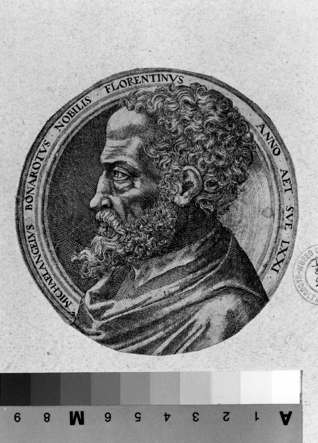 ritratto di Michelangelo (stampa smarginata) di Zutman Lambert (sec. XVI)