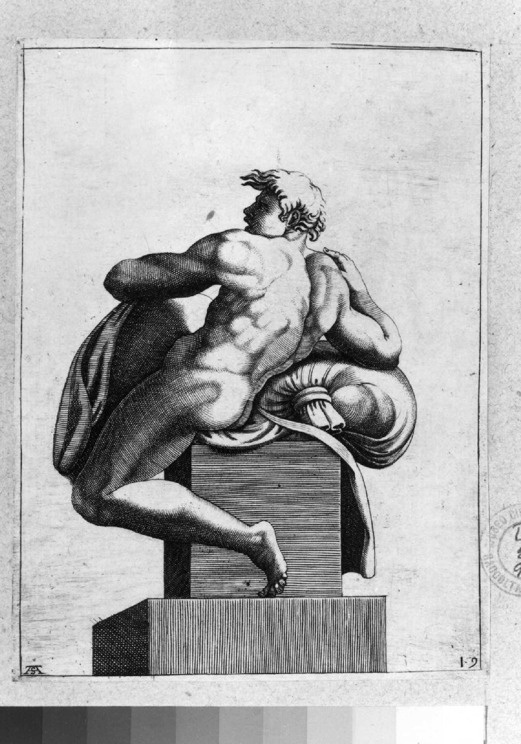 figura maschile nuda (stampa smarginata) di Scultori Adamo, Buonarroti Michelangelo (sec. XVI)