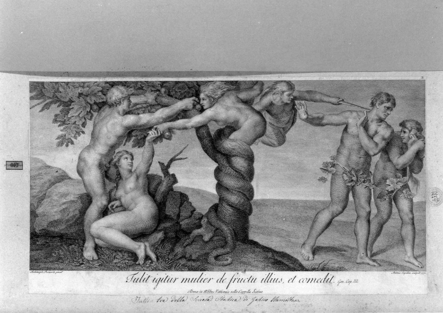 tentazione e caduta di Adamo e Eva e cacciata di Adamo ed Eva dal paradiso terrestre (stampa smarginata, serie) di Buonarroti Michelangelo, Capellan Antonio (sec. XVIII)