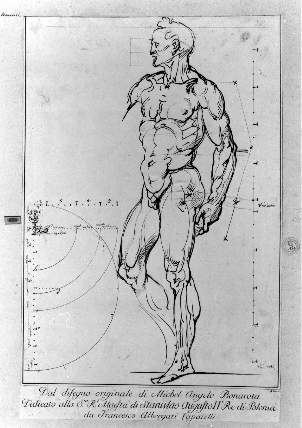 giovane nudo (stampa smarginata) di Fabbri Giovanni, Buonarroti Michelangelo (sec. XVIII)