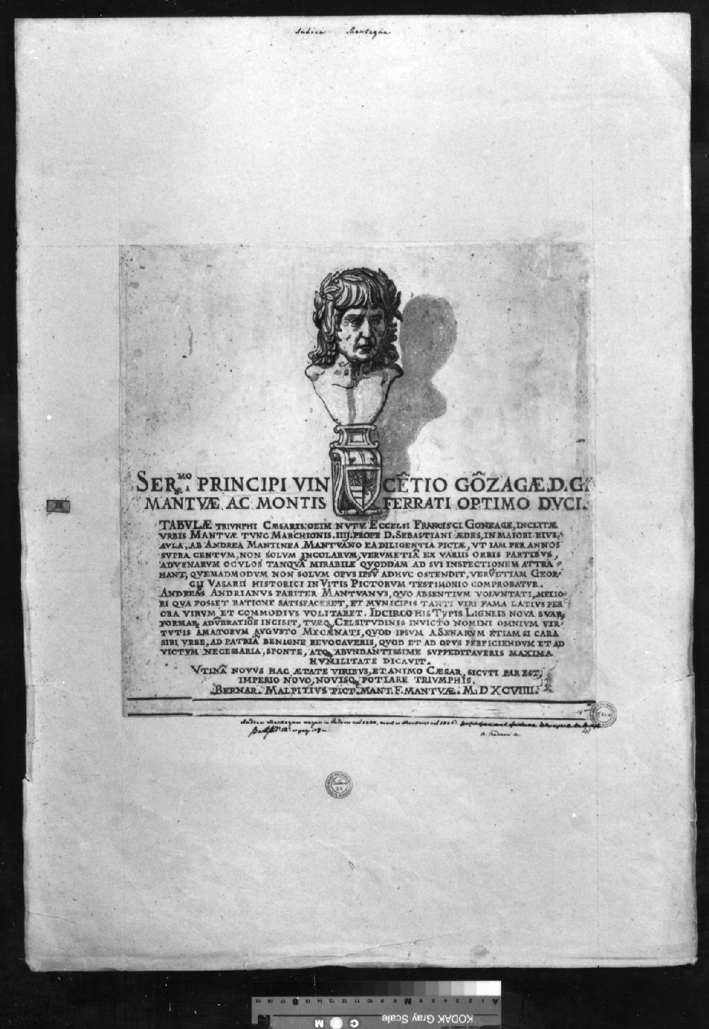 cartone di supporto - ambito italiano (secc. XVIII/ XIX)