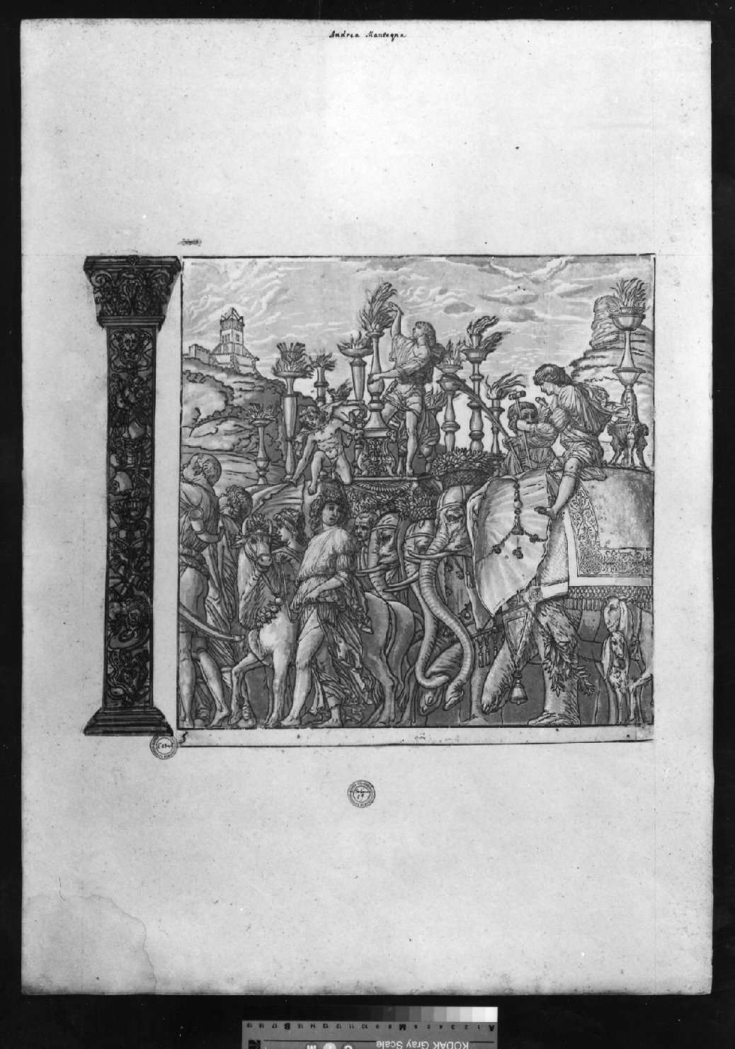 cartone di supporto - ambito italiano (secc. XVIII/ XIX)