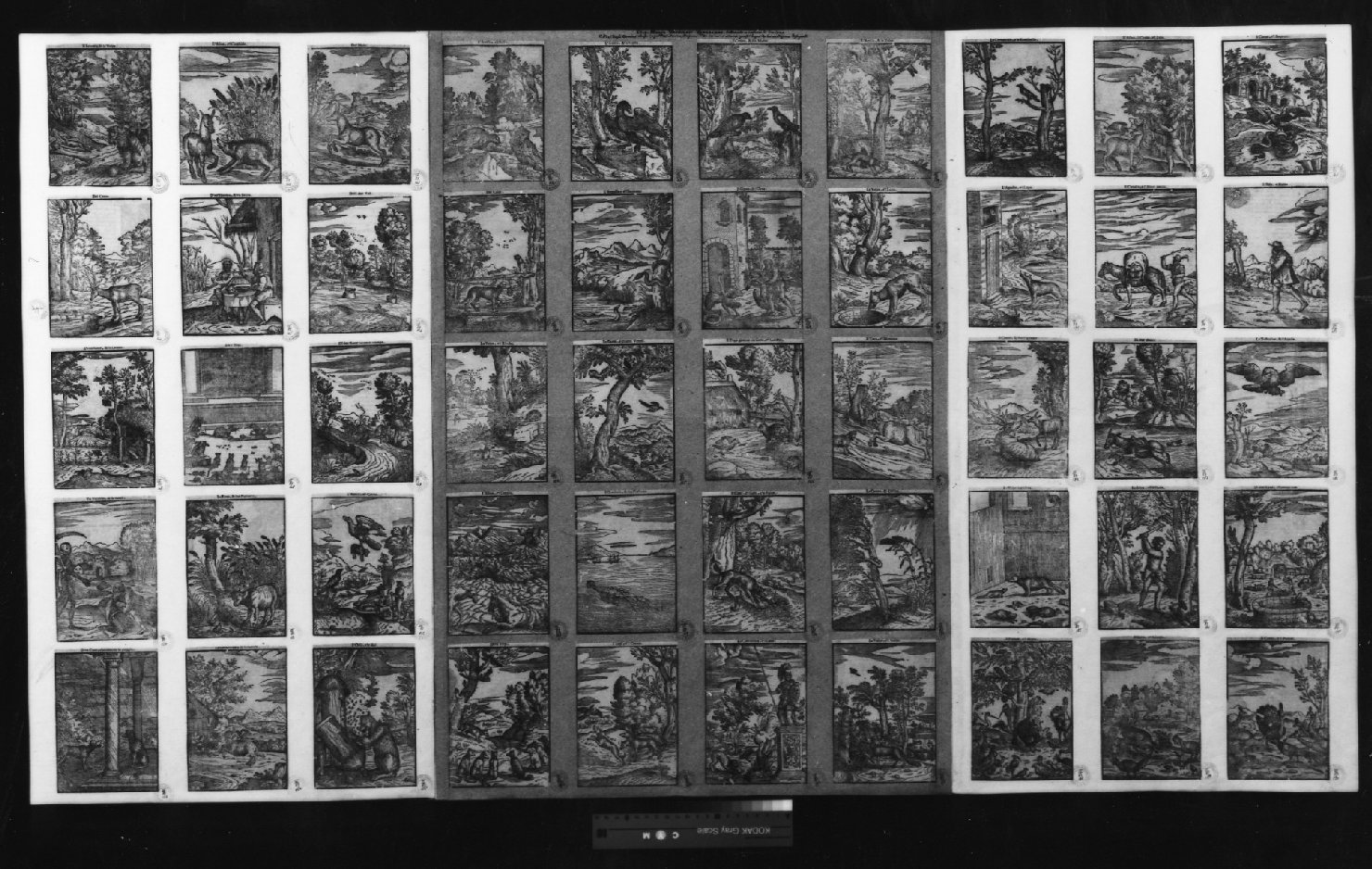 cartone di supporto - ambito italiano (secc. XVIII/ XIX)