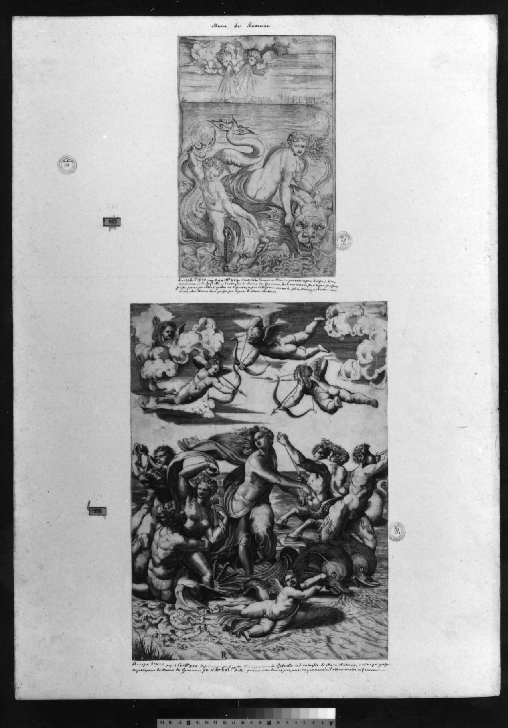 cartone di supporto - ambito italiano (secc. XVIII/ XIX)