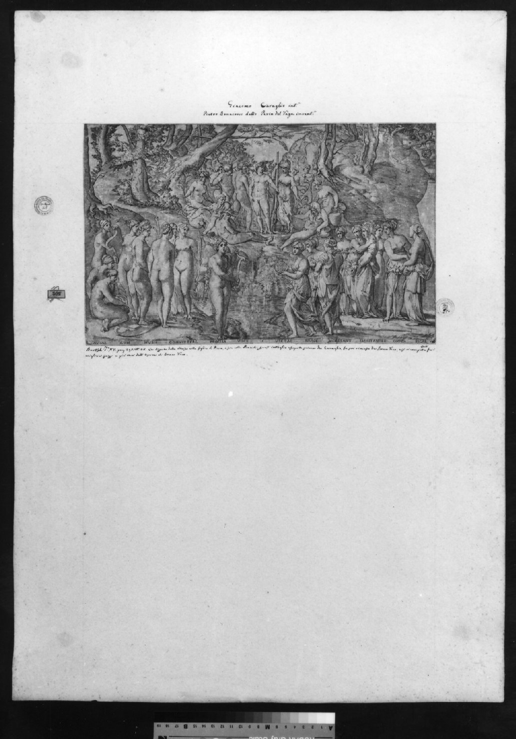 cartone di supporto - ambito italiano (secc. XVIII/ XIX)