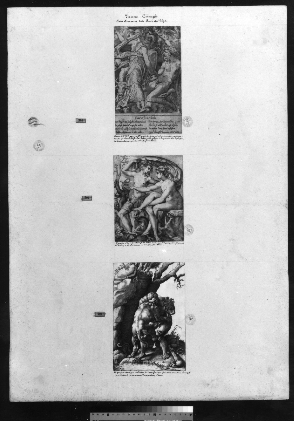 cartone di supporto - ambito italiano (secc. XVIII/ XIX)