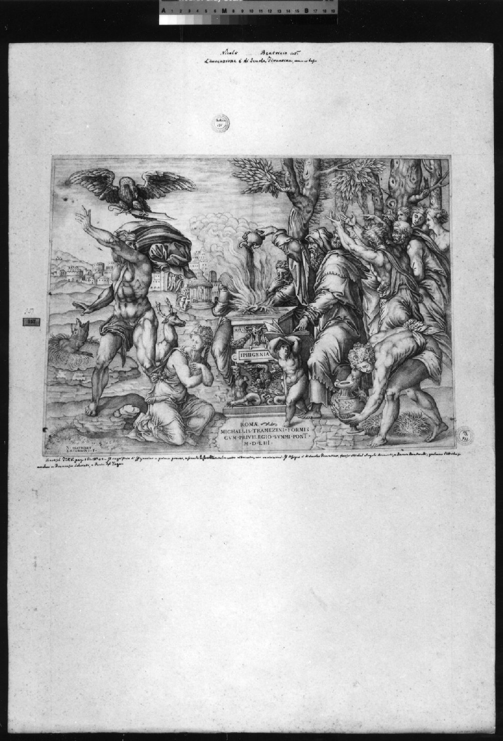 cartone di supporto - ambito italiano (secc. XVIII/ XIX)