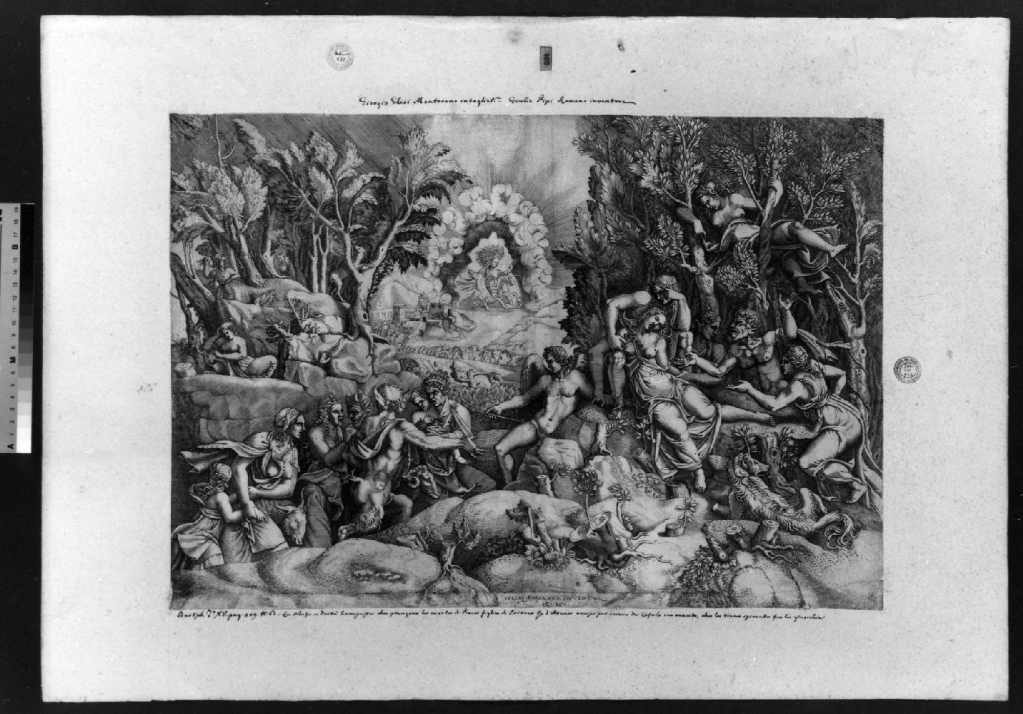 cartone di supporto - ambito italiano (secc. XVIII/ XIX)