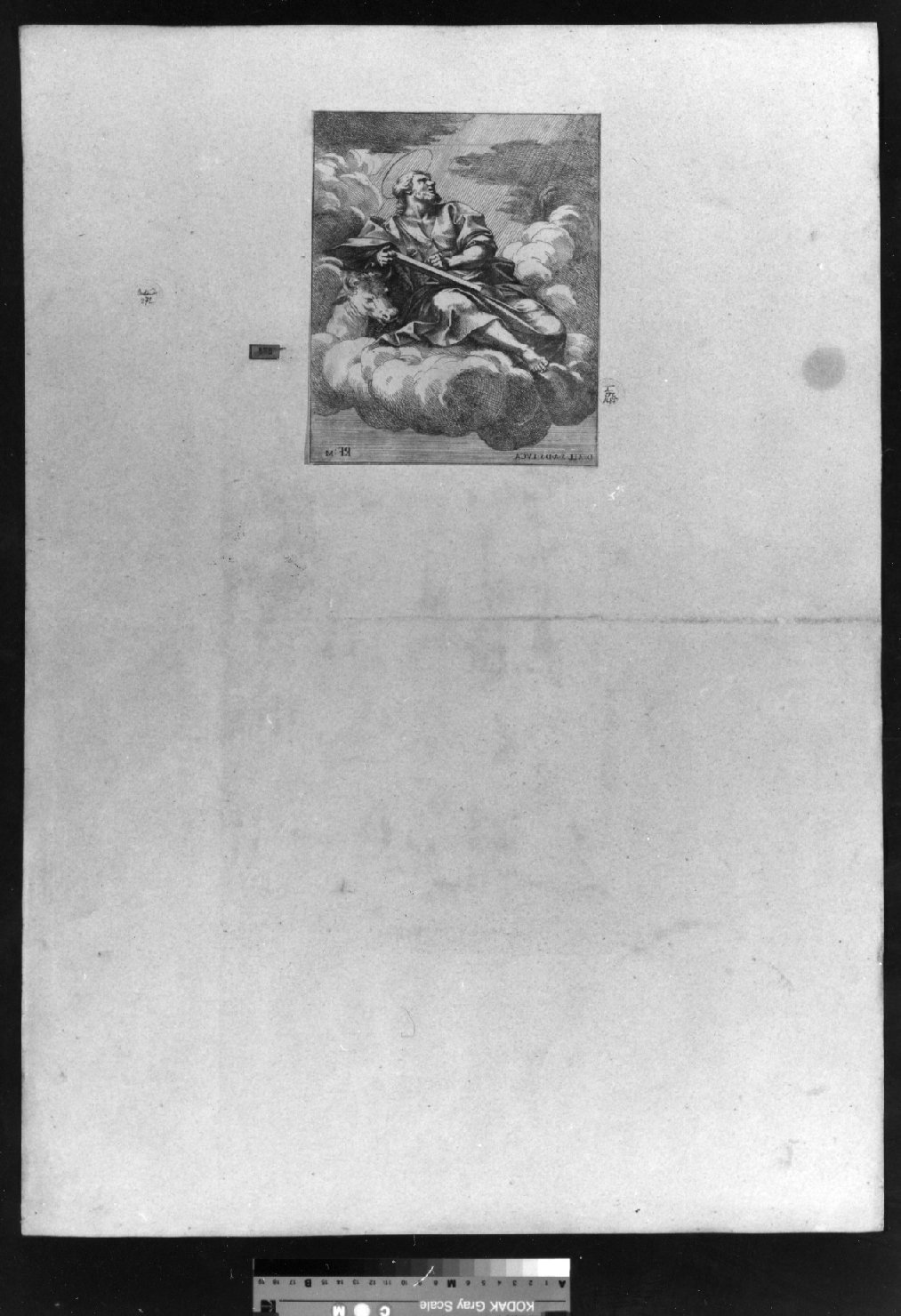 cartone di supporto - ambito italiano (secc. XVIII/ XIX)