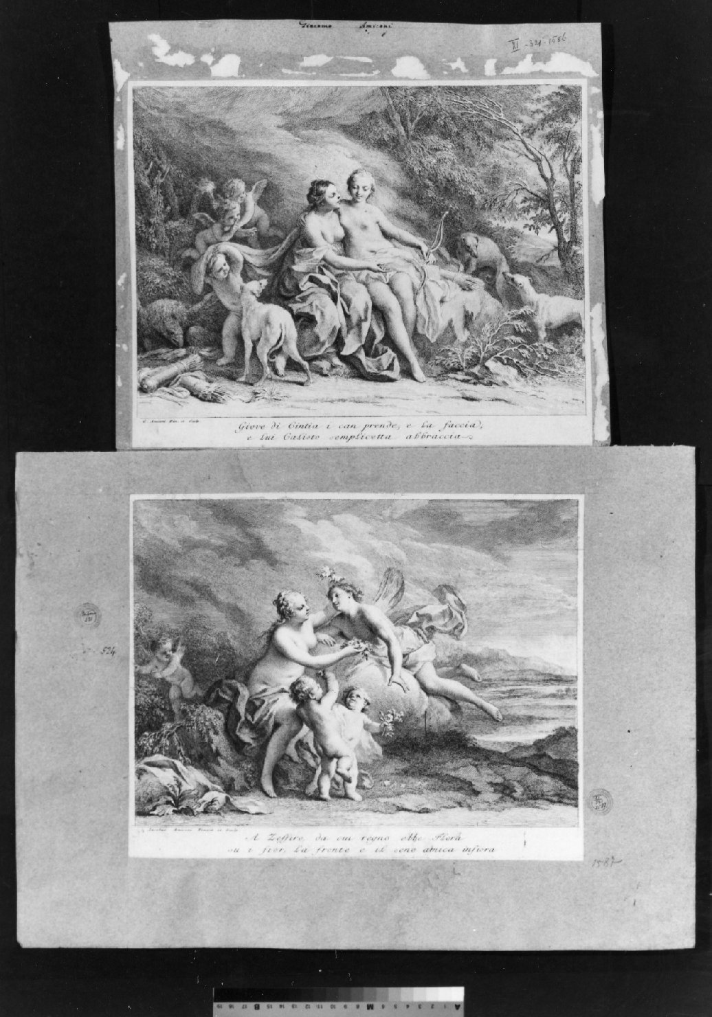 cartone di supporto - ambito italiano (secc. XVIII/ XIX)