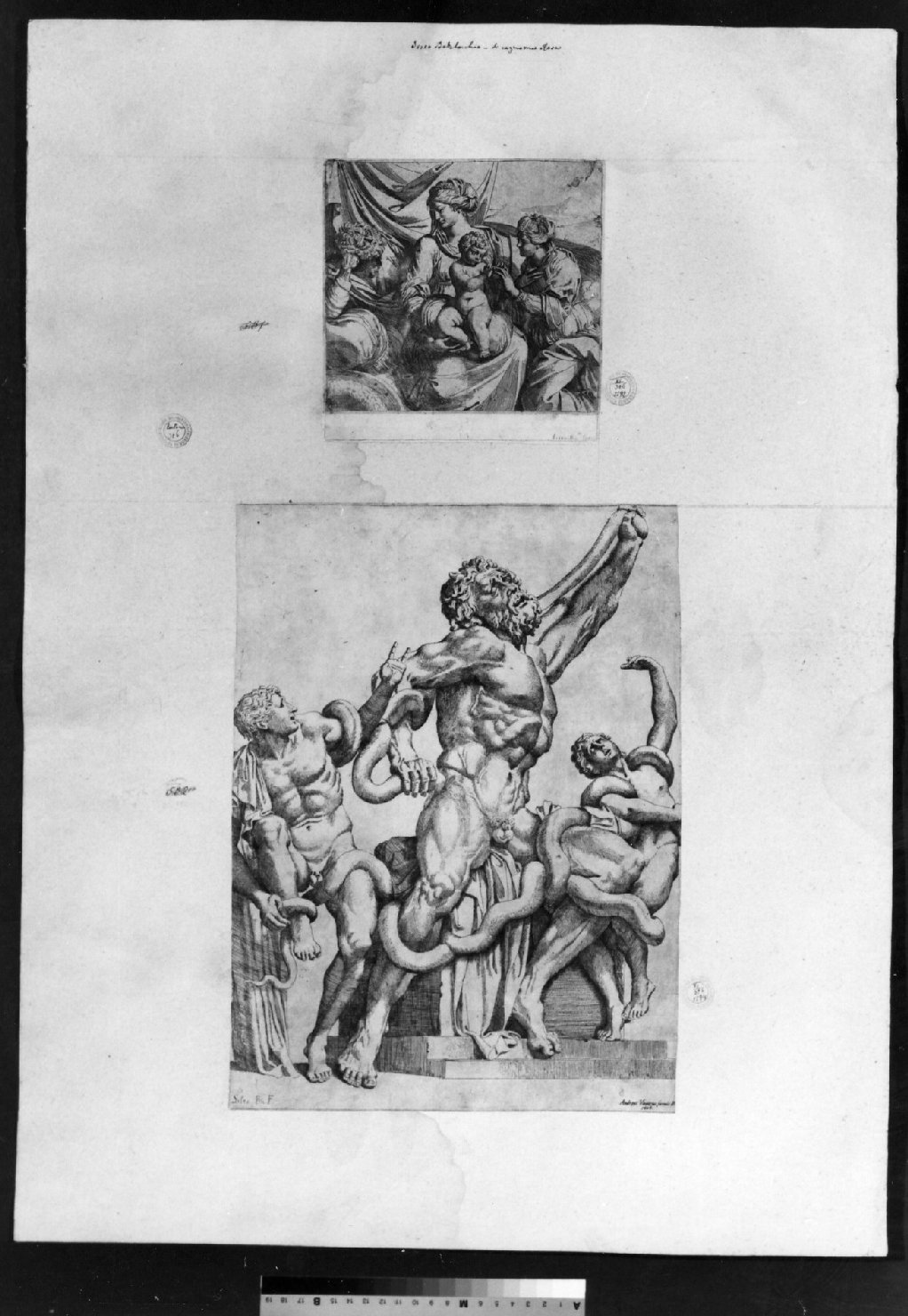 cartone di supporto - ambito italiano (secc. XVIII/ XIX)