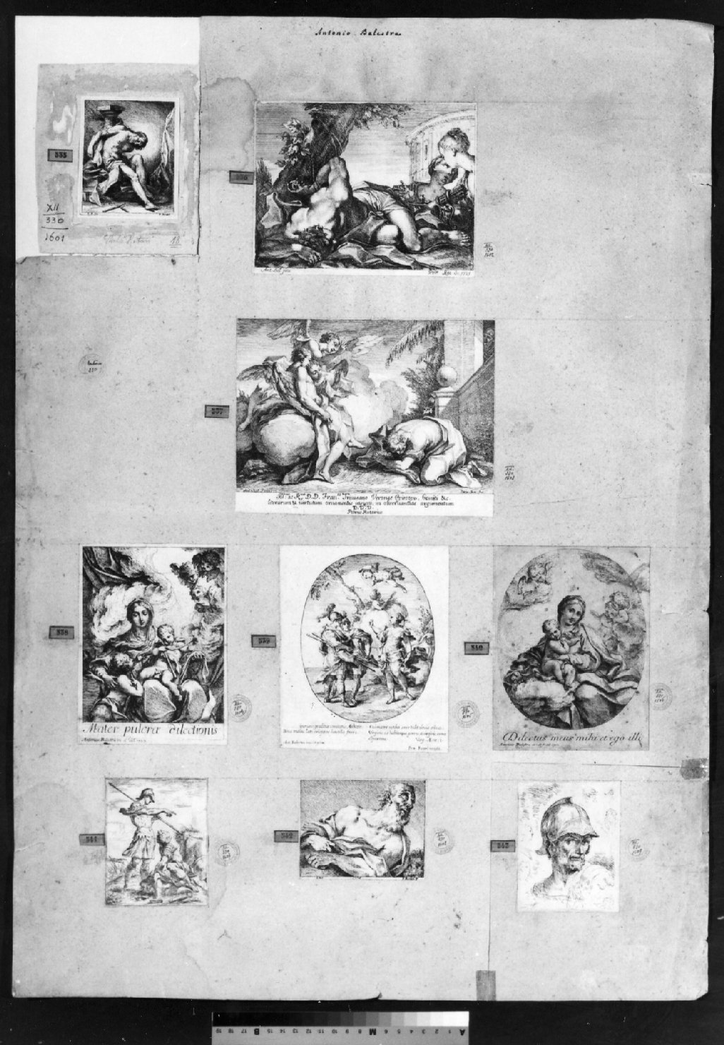 cartone di supporto - ambito italiano (secc. XVIII/ XIX)