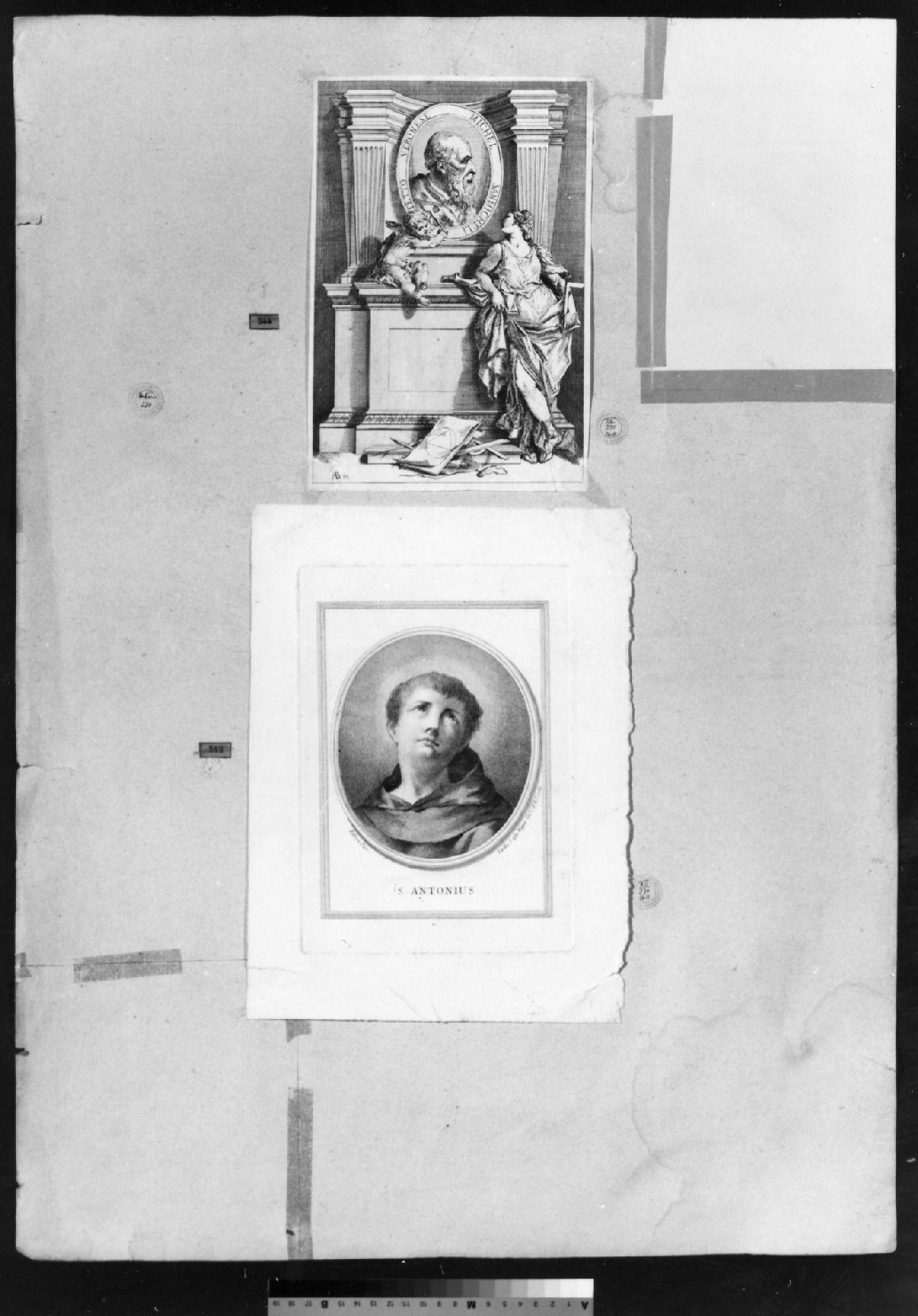 cartone di supporto - ambito italiano (secc. XVIII/ XIX)