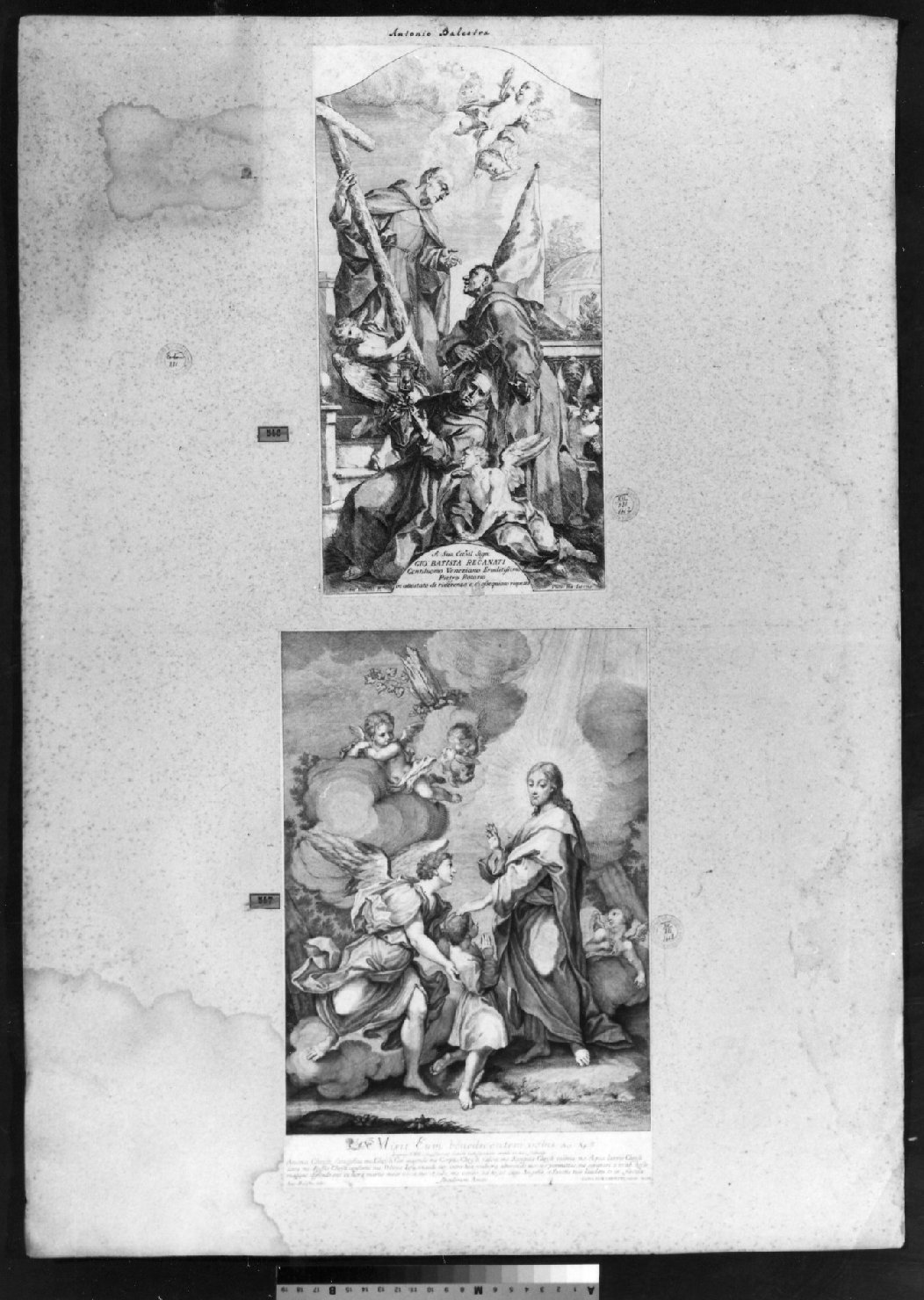 cartone di supporto - ambito italiano (secc. XVIII/ XIX)