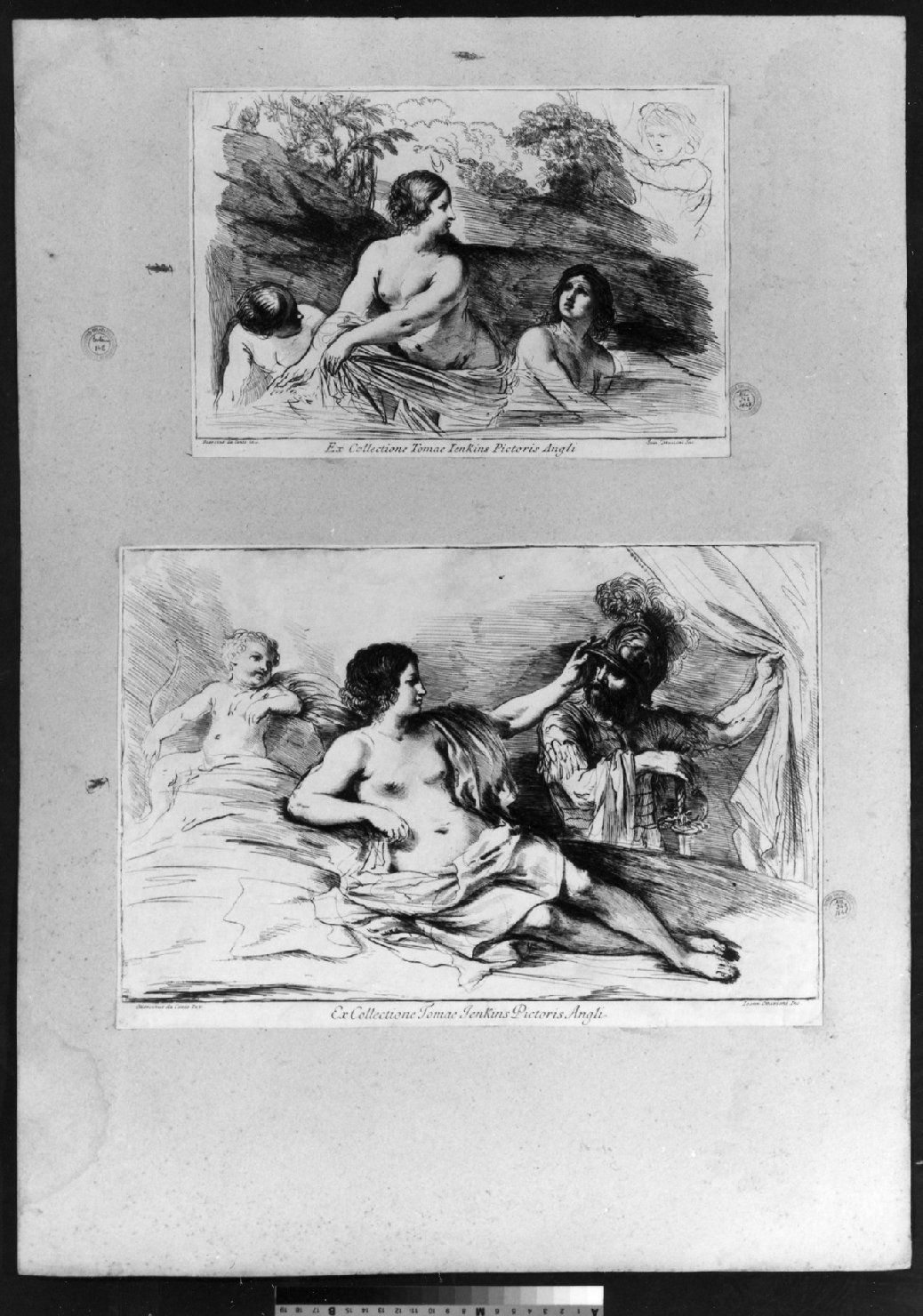 cartone di supporto - ambito italiano (secc. XVIII/ XIX)