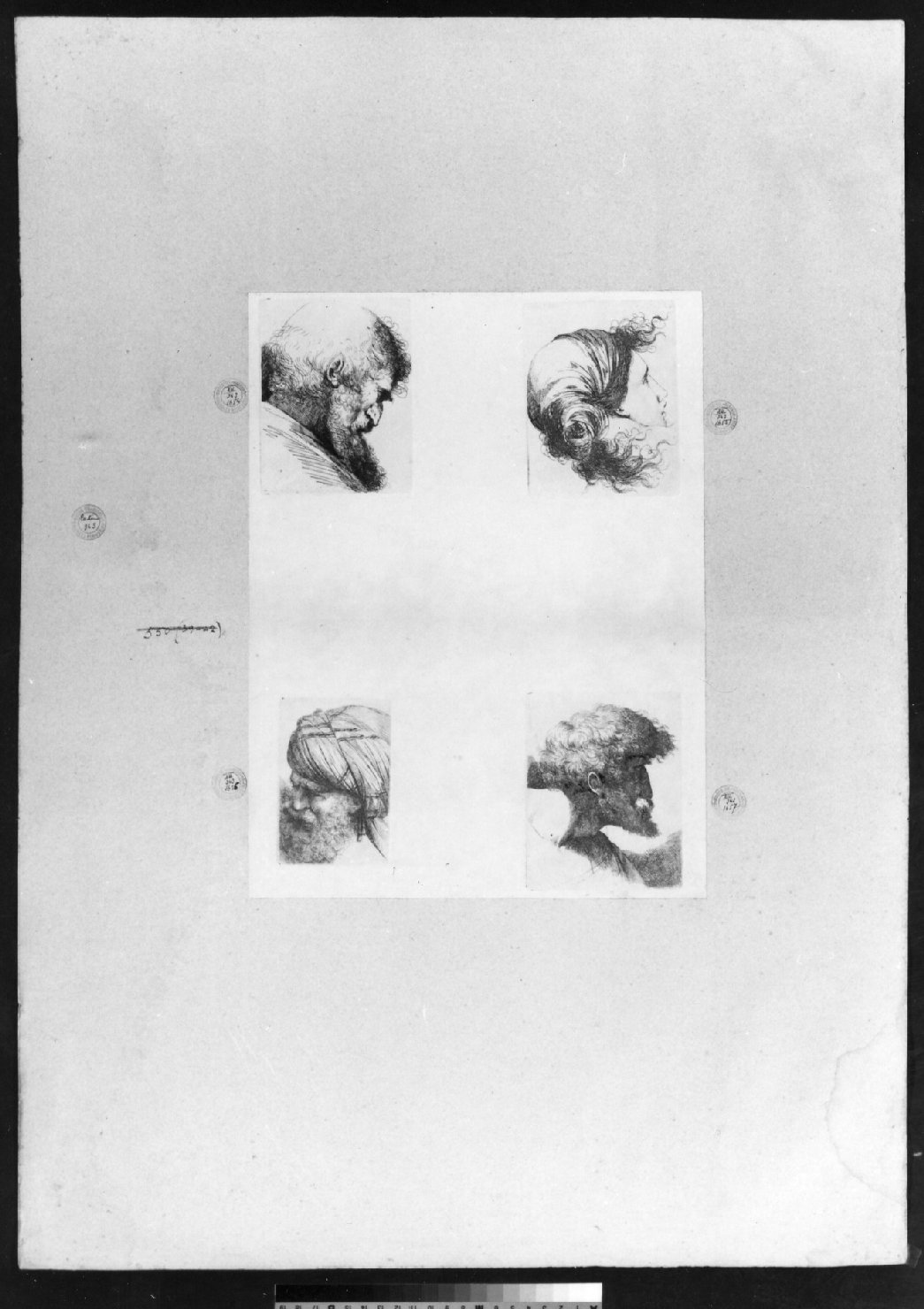 cartone di supporto - ambito italiano (secc. XVIII/ XIX)