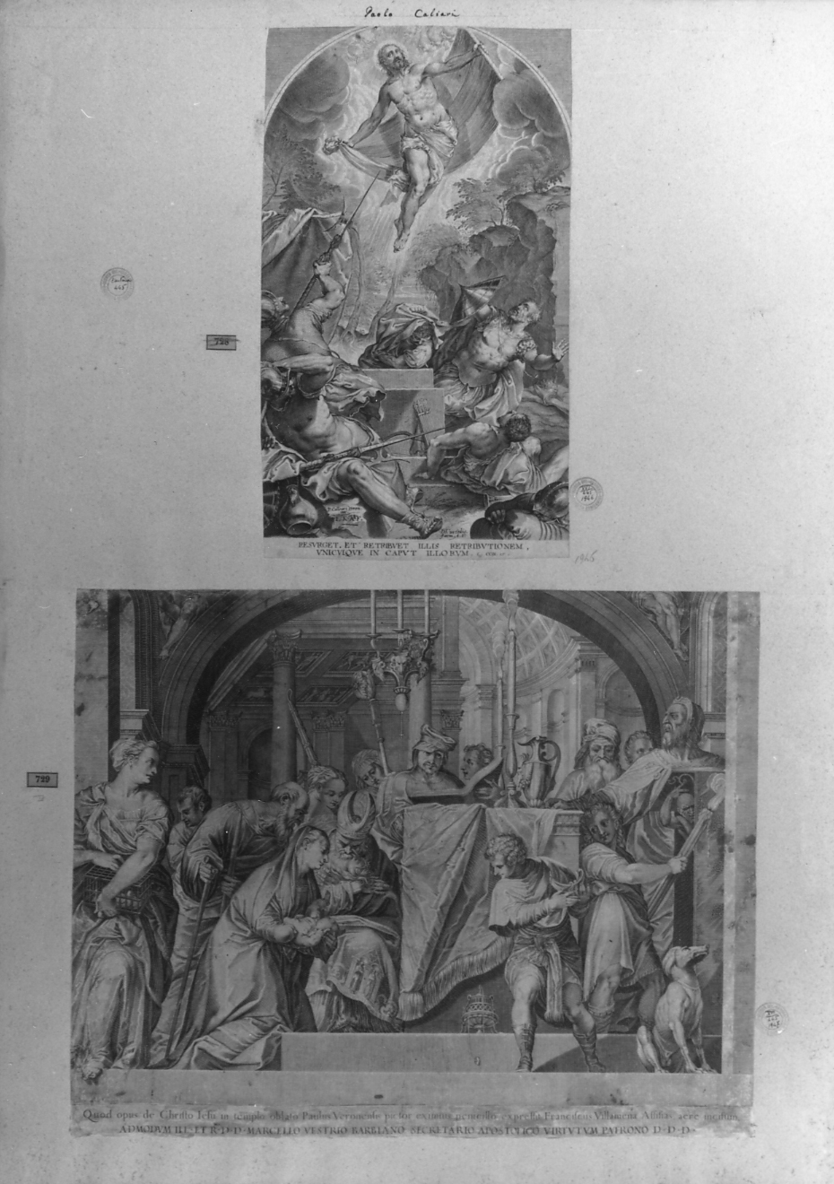 cartone di supporto - ambito italiano (secc. XVIII/ XIX)