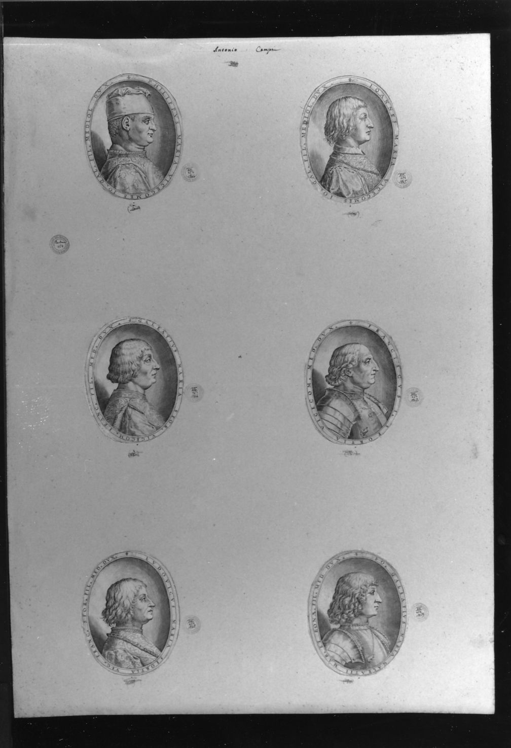 cartone di supporto - ambito italiano (secc. XVIII/ XIX)