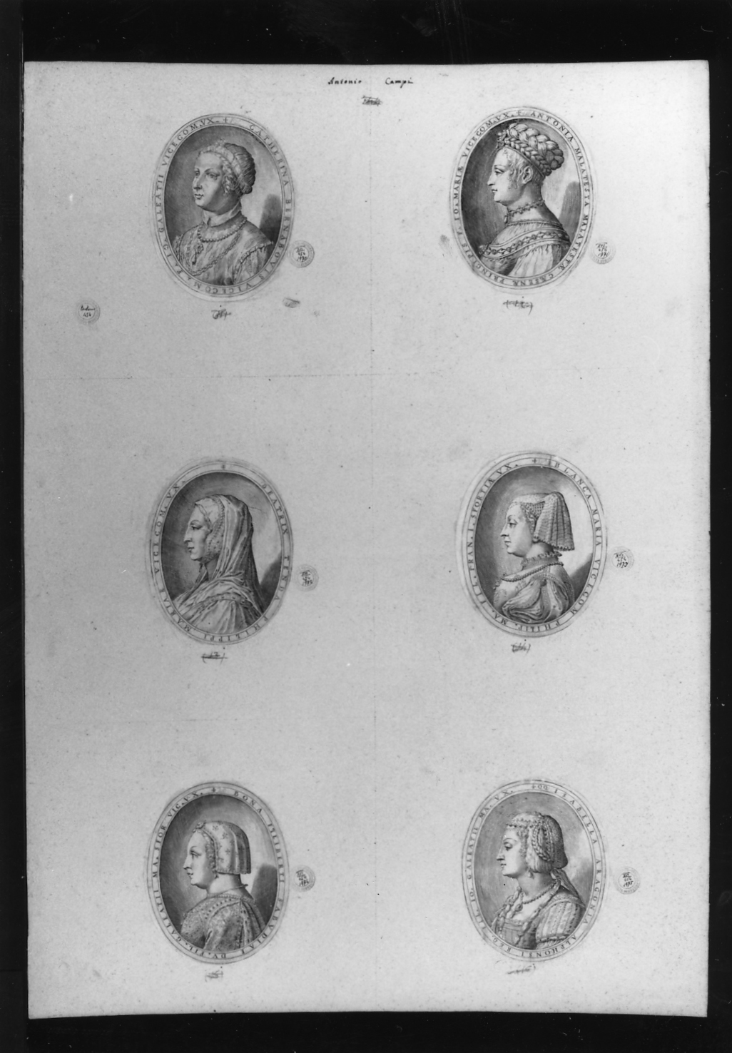 cartone di supporto - ambito italiano (secc. XVIII/ XIX)