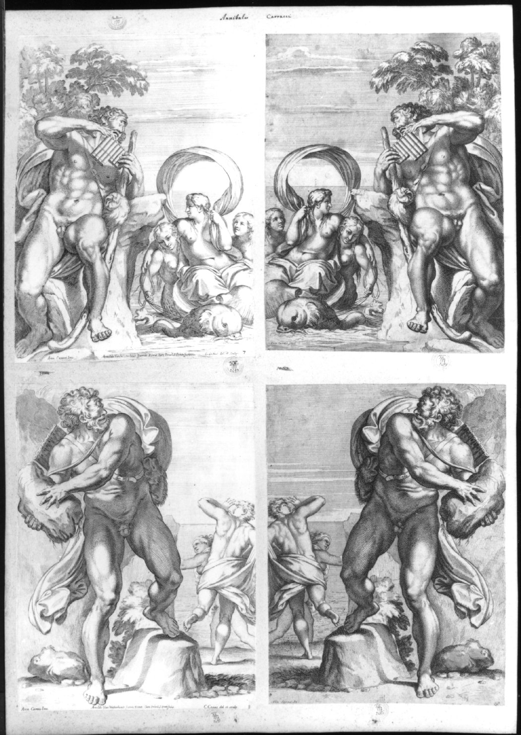 cartone di supporto - ambito italiano (secc. XVIII/ XIX)