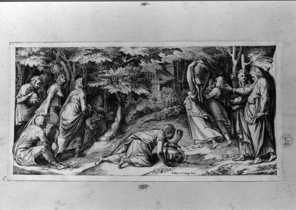 Mosè e la raccolta della manna (stampa) di Polidoro da Caravaggio, Alberti Cherubino (sec. XVI)