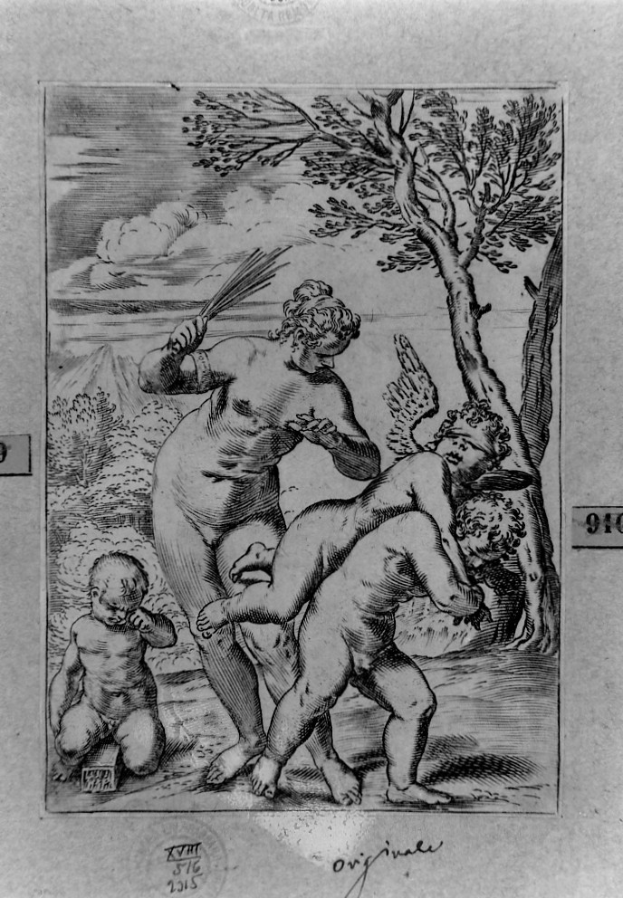 Venere e Cupido (stampa smarginata, serie) di Carracci Agostino (sec. XVI)
