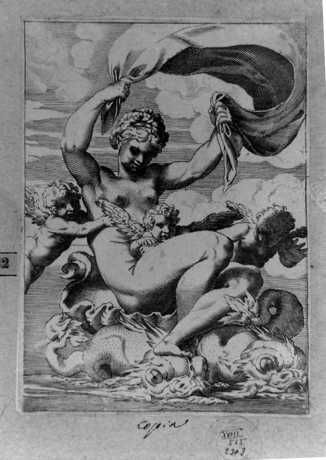 Venere (stampa smarginata, serie) di Carracci Agostino (sec. XVI)