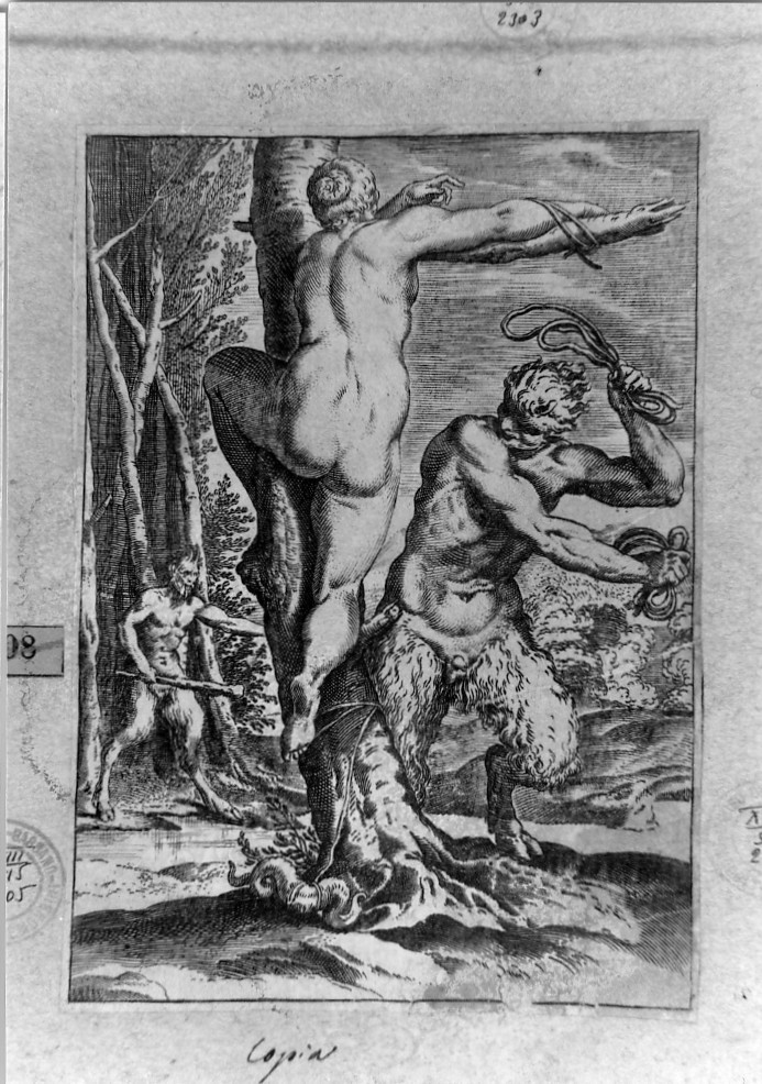 satiro frusta una ninfa (stampa smarginata, serie) di Carracci Agostino (sec. XVI)