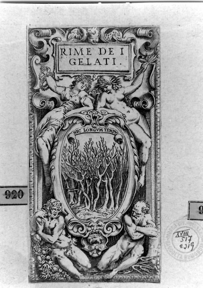 motivi decorativi (stampa smarginata) di Carracci Agostino (sec. XVI)