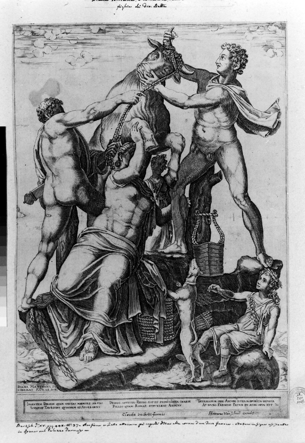 Anfione e Zeto attaccano dirce a un toro infuriato, supplizio di Dirce (stampa smarginata) di Scultori Diana (sec. XVI)