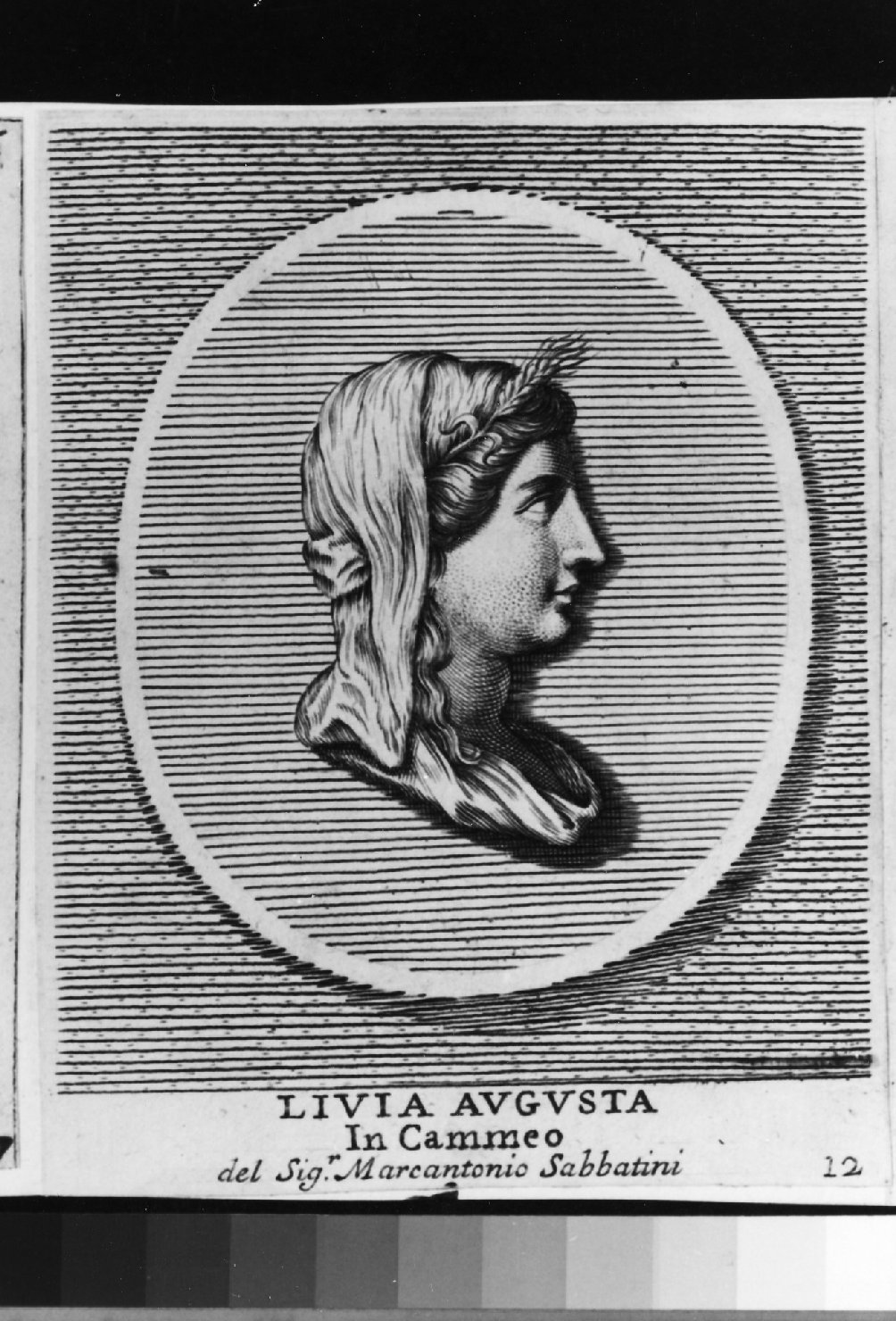 cameo con ritratto di Livia Augusta, ritratto d'uomo di profilo (stampa smarginata) di Aquila Francesco Faraone (sec. XVIII)