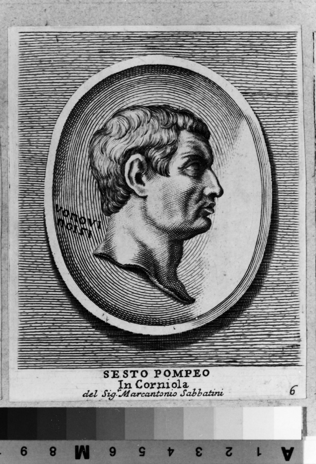 gemma antica di corniola con ritratto di Sesto Pompeo, ritratto d'uomo di profilo (stampa smarginata) di Aquila Francesco Faraone (sec. XVIII)