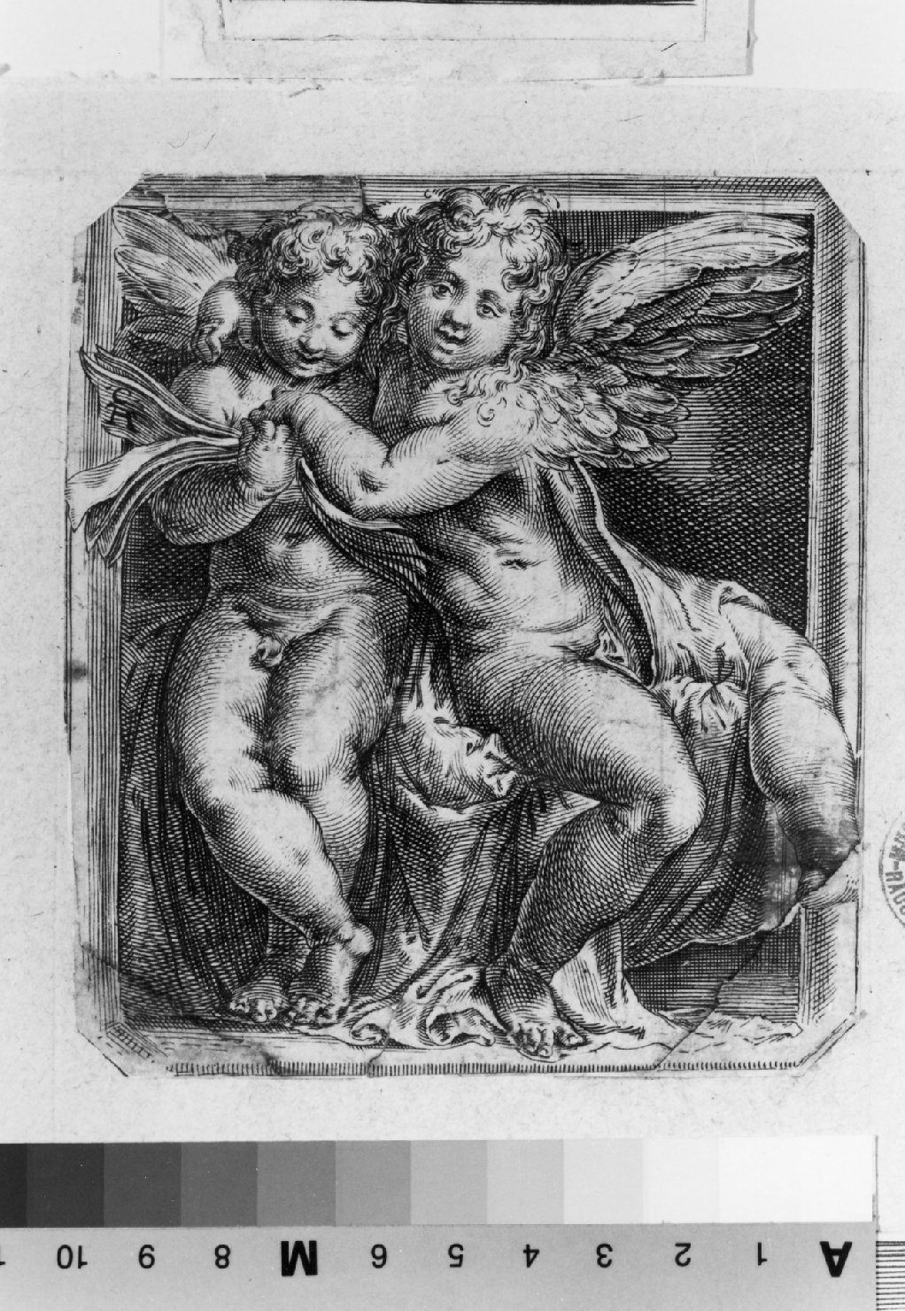 angeli cantori (stampa smarginata) di Alberti Cherubino, Polidoro da Caravaggio (sec. XVI)