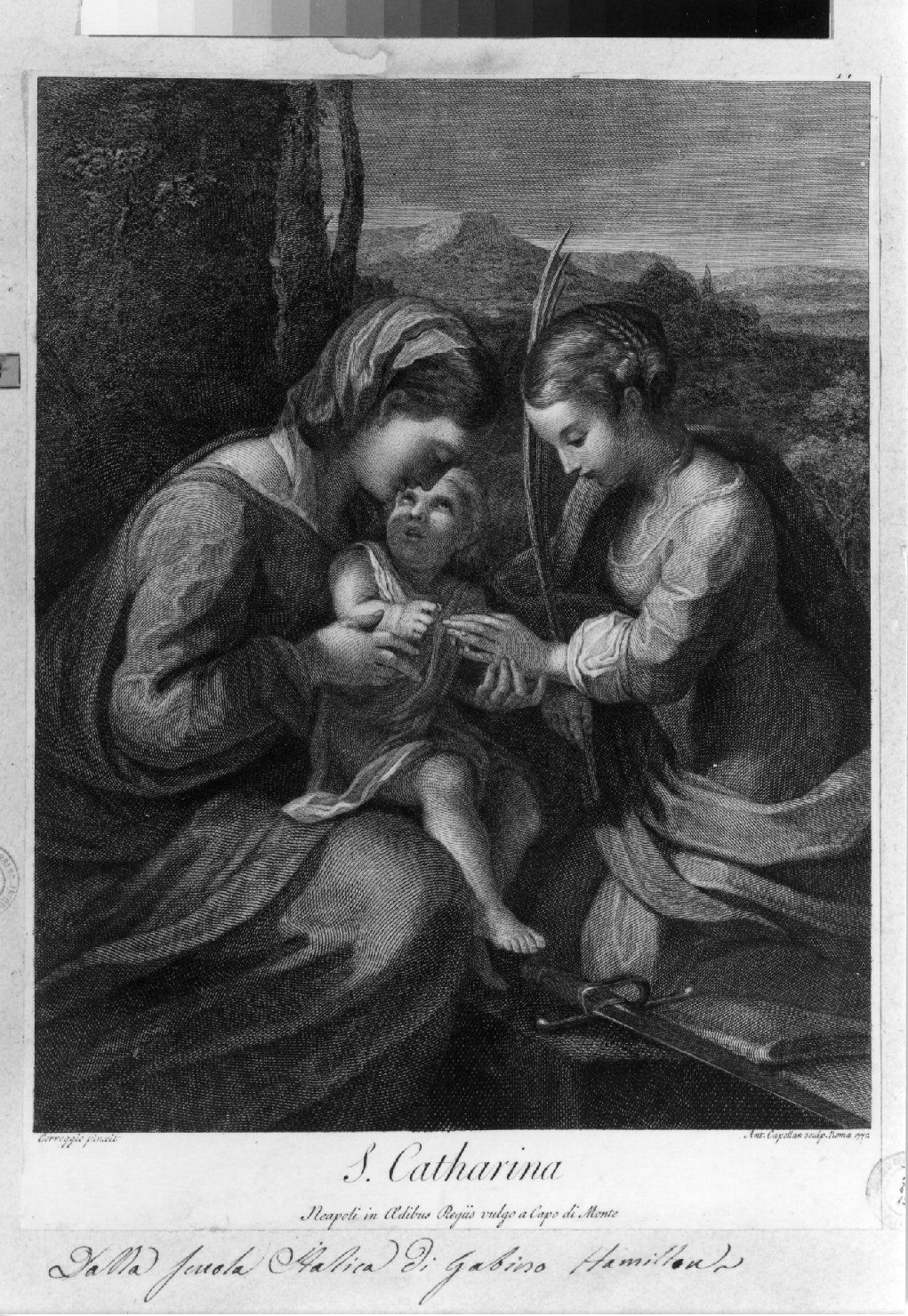 matrimonio mistico di Santa Caterina d'Alessandria (stampa smarginata) di Cappellani Antonio, Correggio (sec. XVIII)