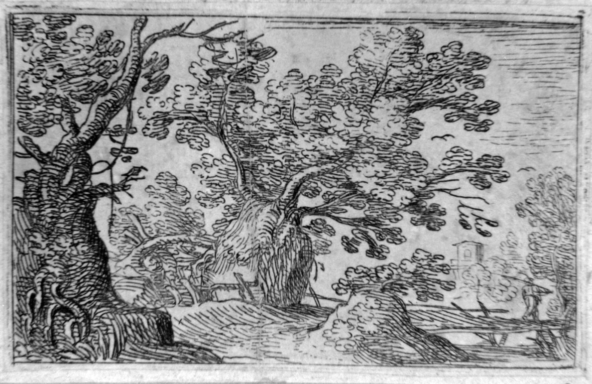 paesaggio con alberi (stampa) di Cantagallina Remigio (sec. XVII)