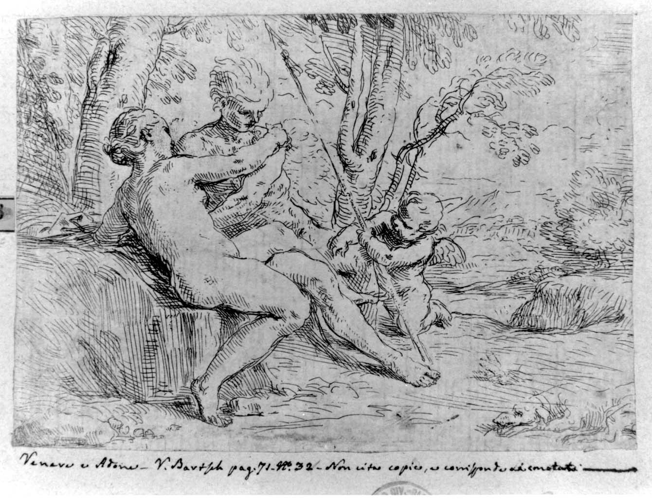 Venere e Adone (stampa smarginata) di Cantarini Simone detto Pesarese (prima metà sec. XVII)