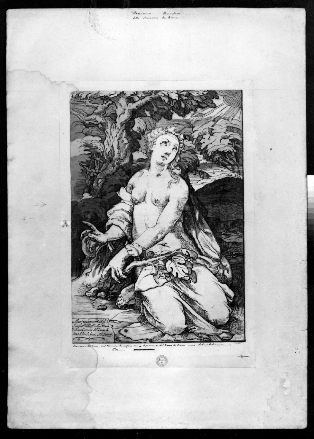 Eva, Eva (stampa smarginata) di Andreani Andrea, Beccafumi Domenico (sec. XVI)