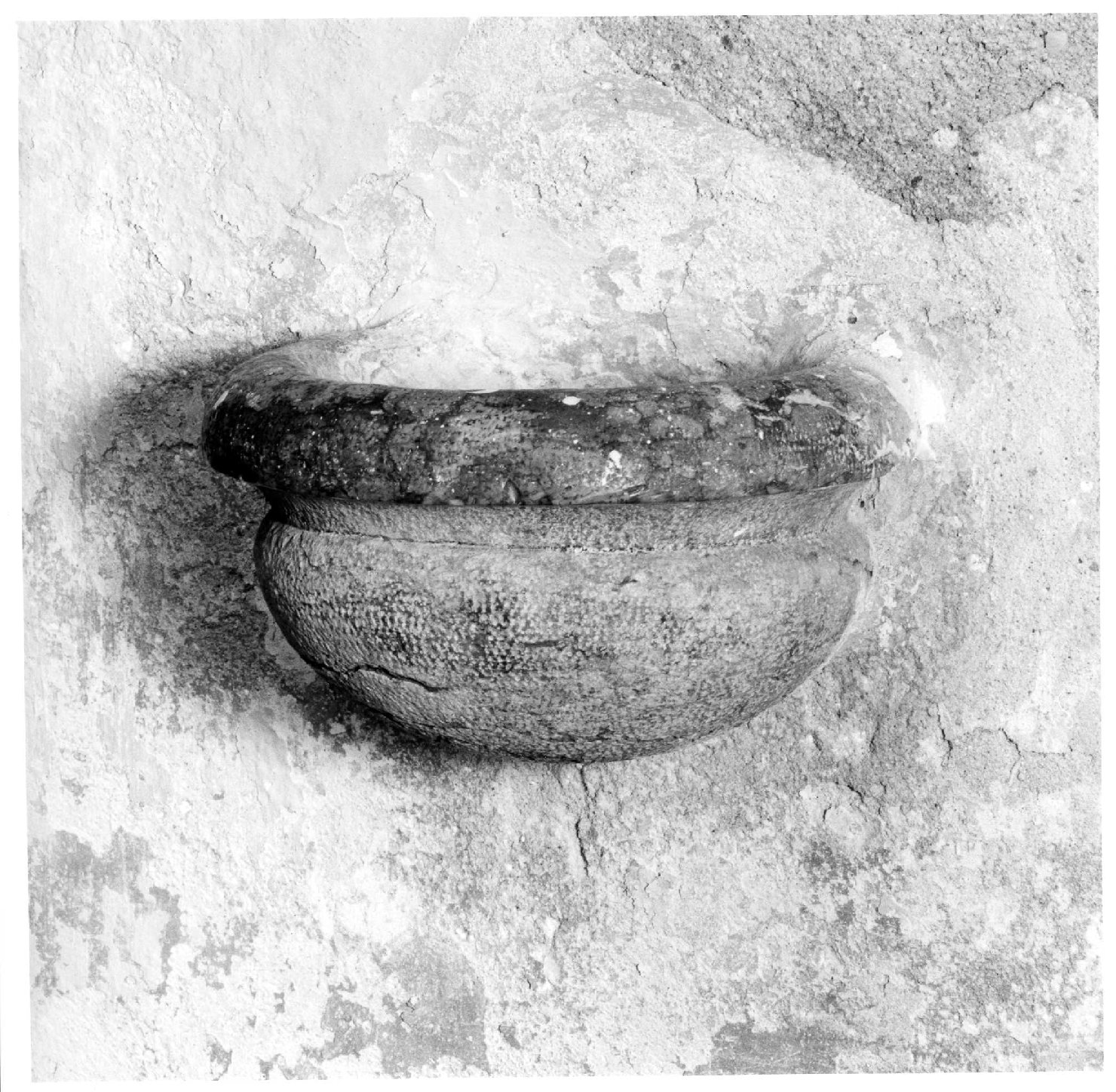 acquasantiera - bottega veronese (sec. XVIII)