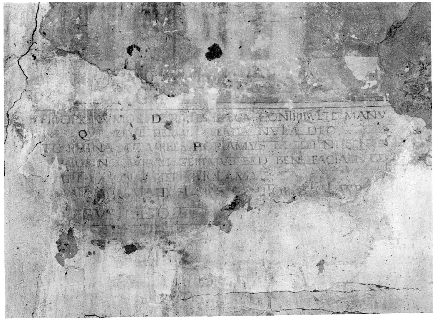 iscrizione (dipinto, frammento) - ambito veronese (sec. XVI)