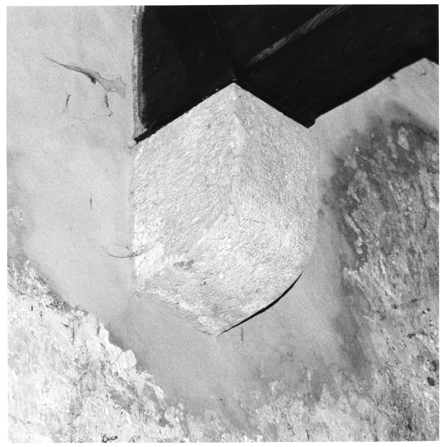 peduccio, serie - ambito veronese (sec. XVI)