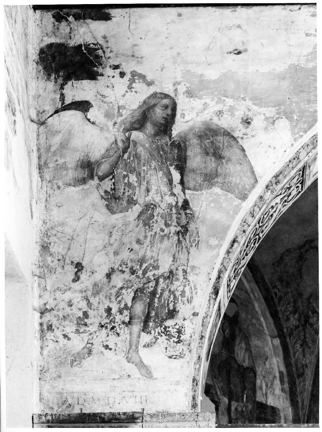 angelo annunciante (dipinto, elemento d'insieme) di Caroto Giovanni Francesco (sec. XVI)